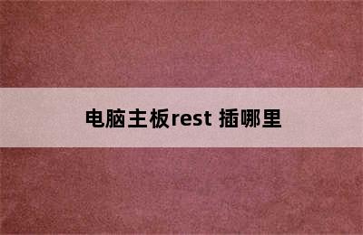 电脑主板rest 插哪里